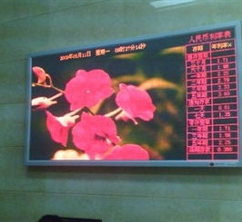 番禺沙灣LED顯示屏與廣告設(shè)計服務(wù)——以靈申廣告為例探析本土供應(yīng)商的整合之道